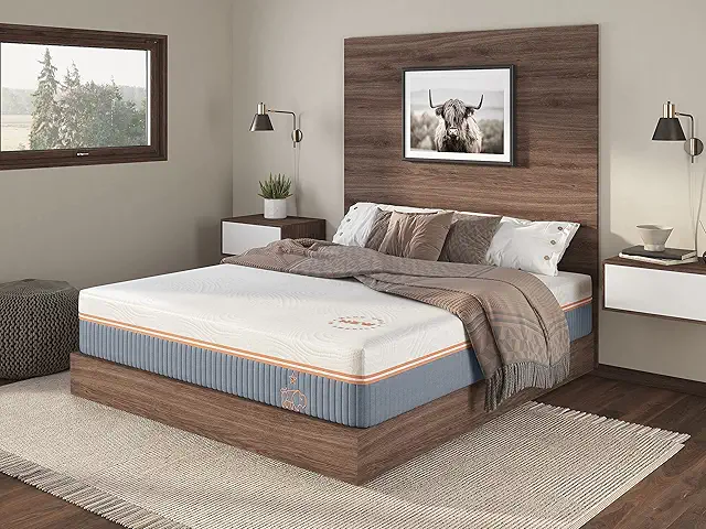 Mattress Plush 12 Inch | Made in The USA | 100% Fiberglass-Free Cool Touch Cover | Ventilated Memory Foam | Bed in a Box